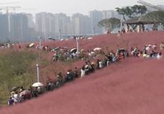说明: mmexport1569639610837.jpg