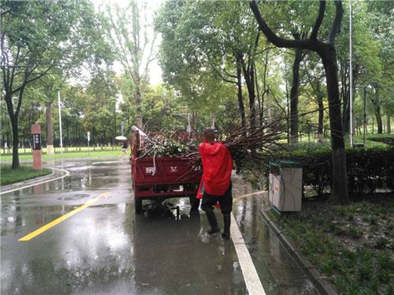 说明: 13.jpg