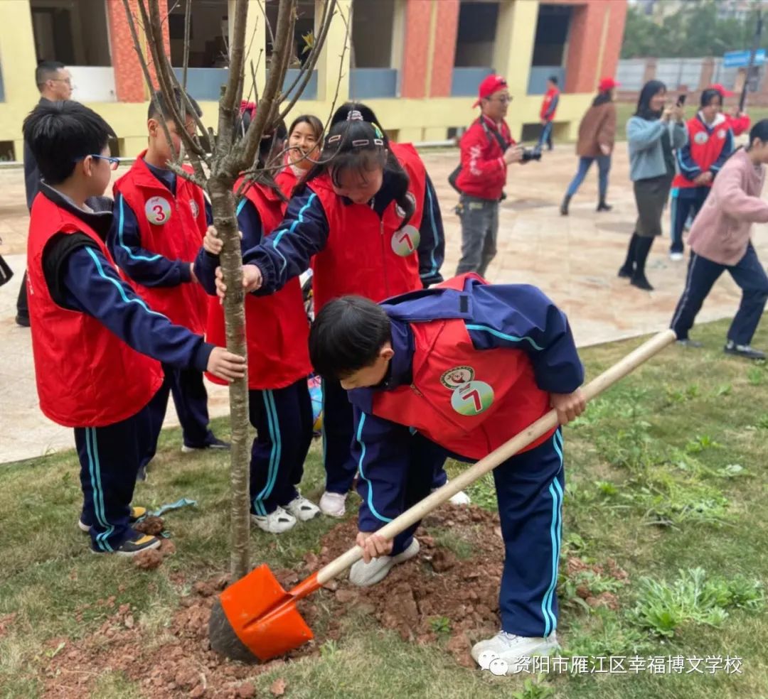 说明: 图片