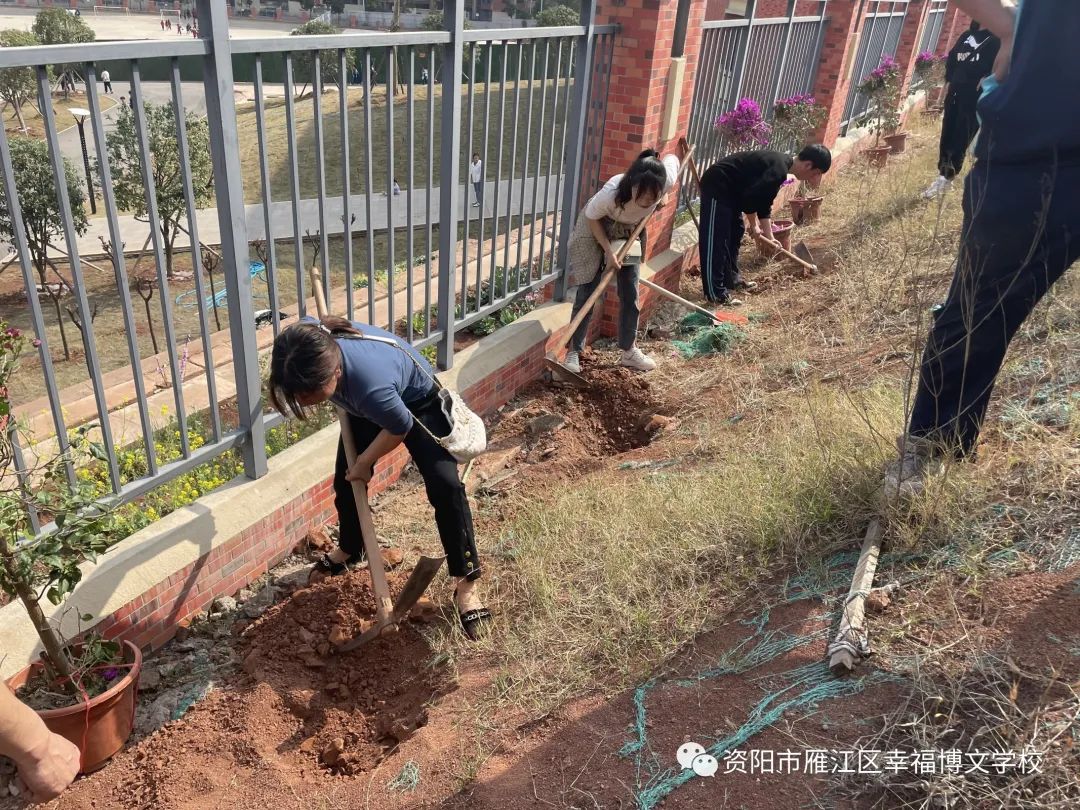 说明: 图片