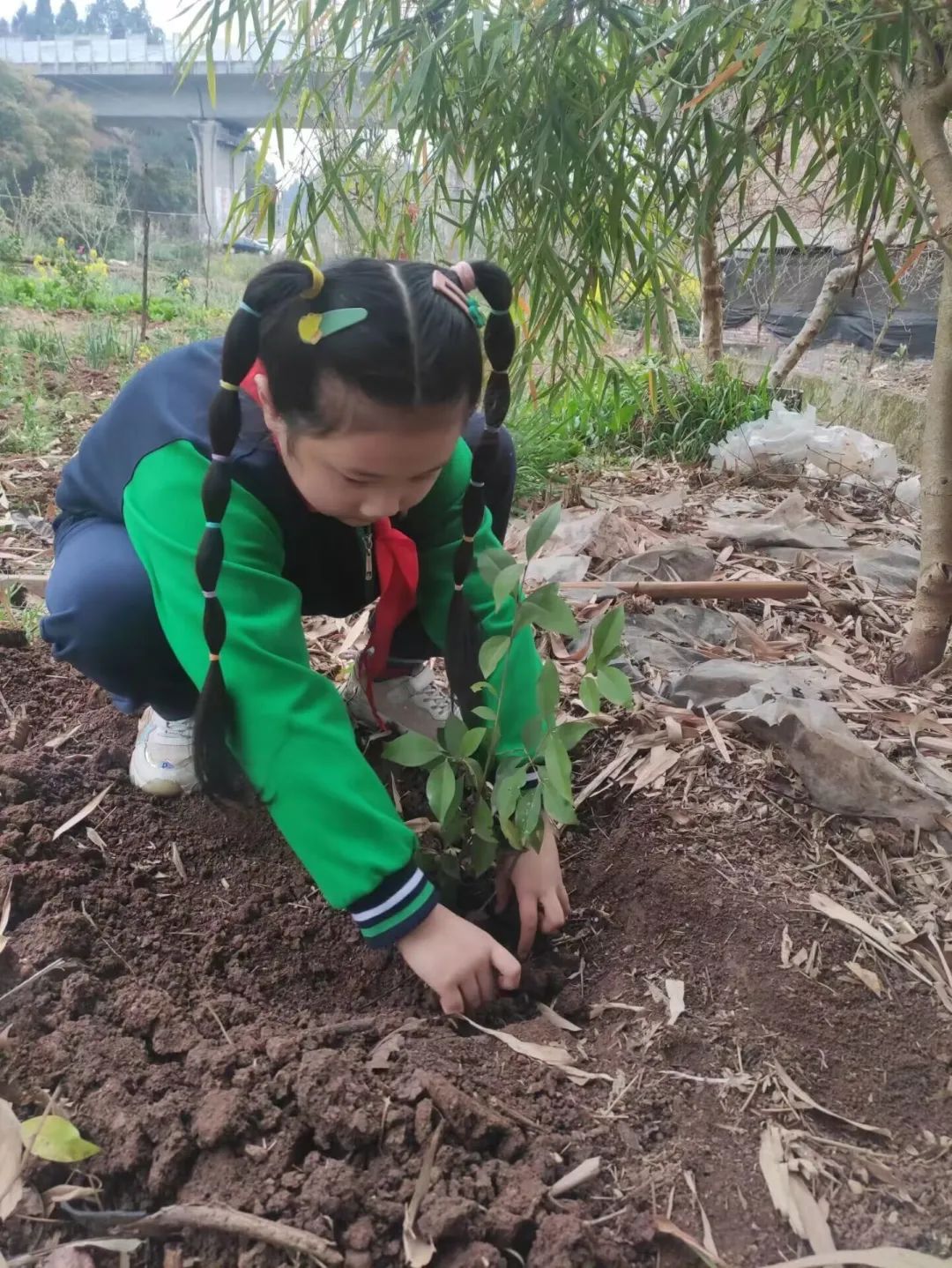 说明: 图片